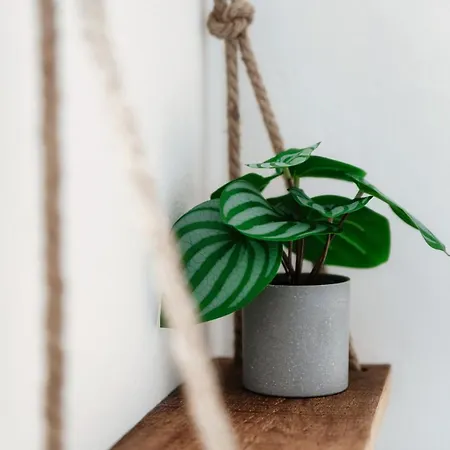 Piazza Roma By Quokka 360 - Historic Flat In The Centre Of Appartement Como